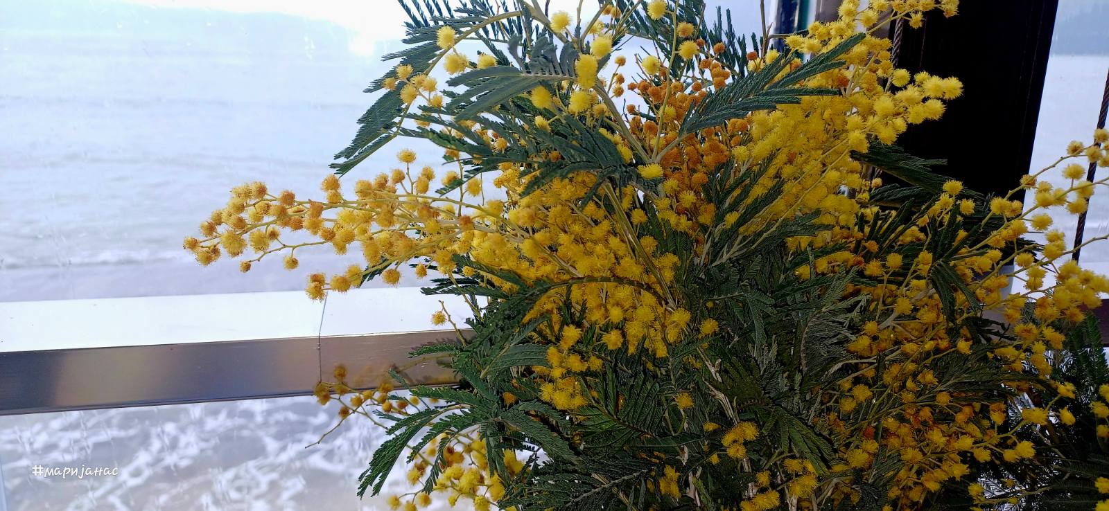 НАГОВЈЕШТАЈ ПРОЉЕЋА НА МЕДИТЕРАНУ