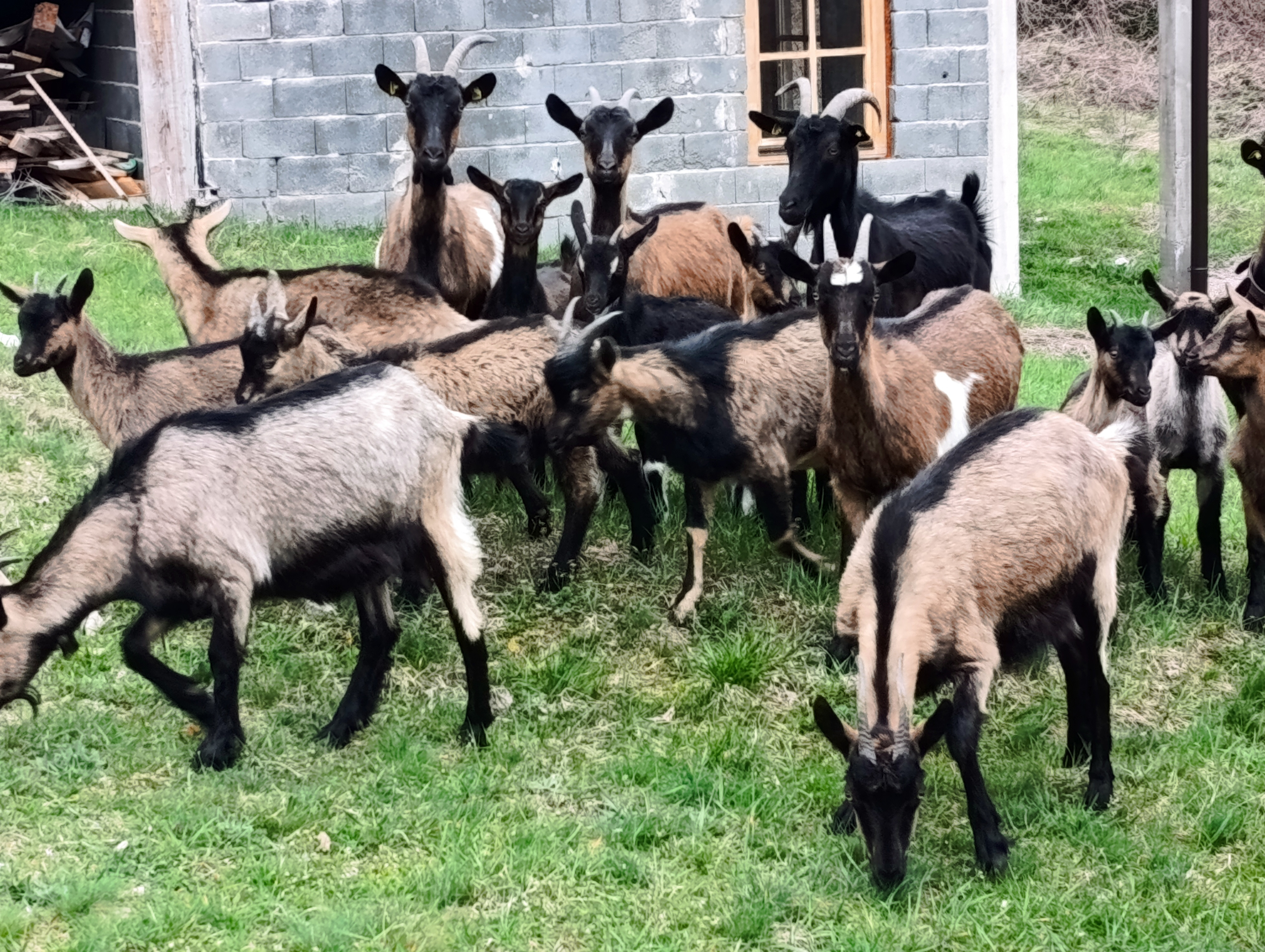 Ð¤Ð¾ÑÐ¾- Ð´Ð°Ð½Ð° ; Ð . Ð¢ÐÐ¡ÐÐ : ÐÐÐ¡Ð¢ÐÐ ÐÐÐ