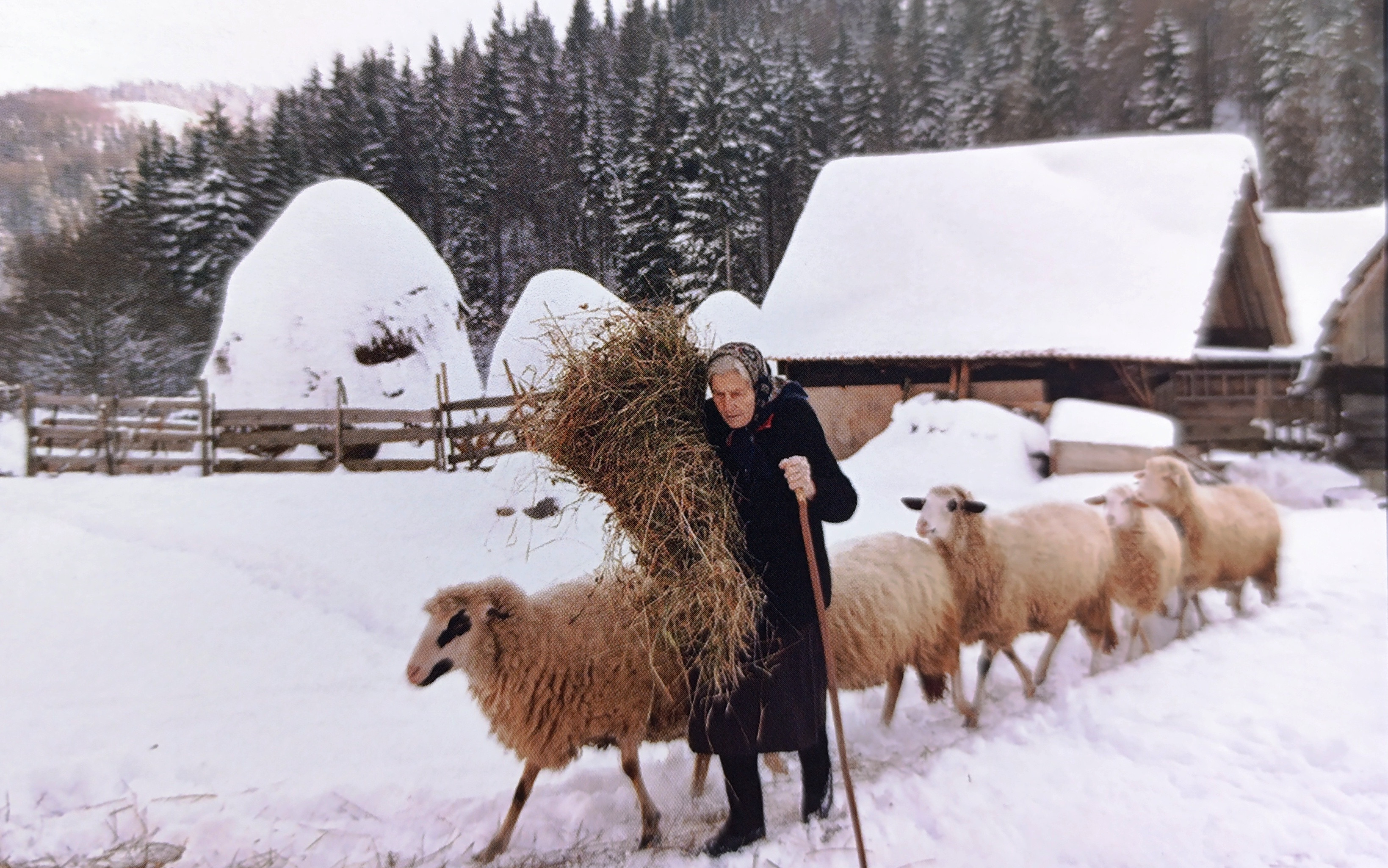 Ð¤Ð¾ÑÐ¾-Ð´Ð°Ð½Ð° : Ð ÐÐÐ ÐÐ ÐÐÐÐ : Ð£ Ð¡ÐÐÐÐÐ£ Ð¡Ð ÐÐ ÐÐÐÐÐÐ