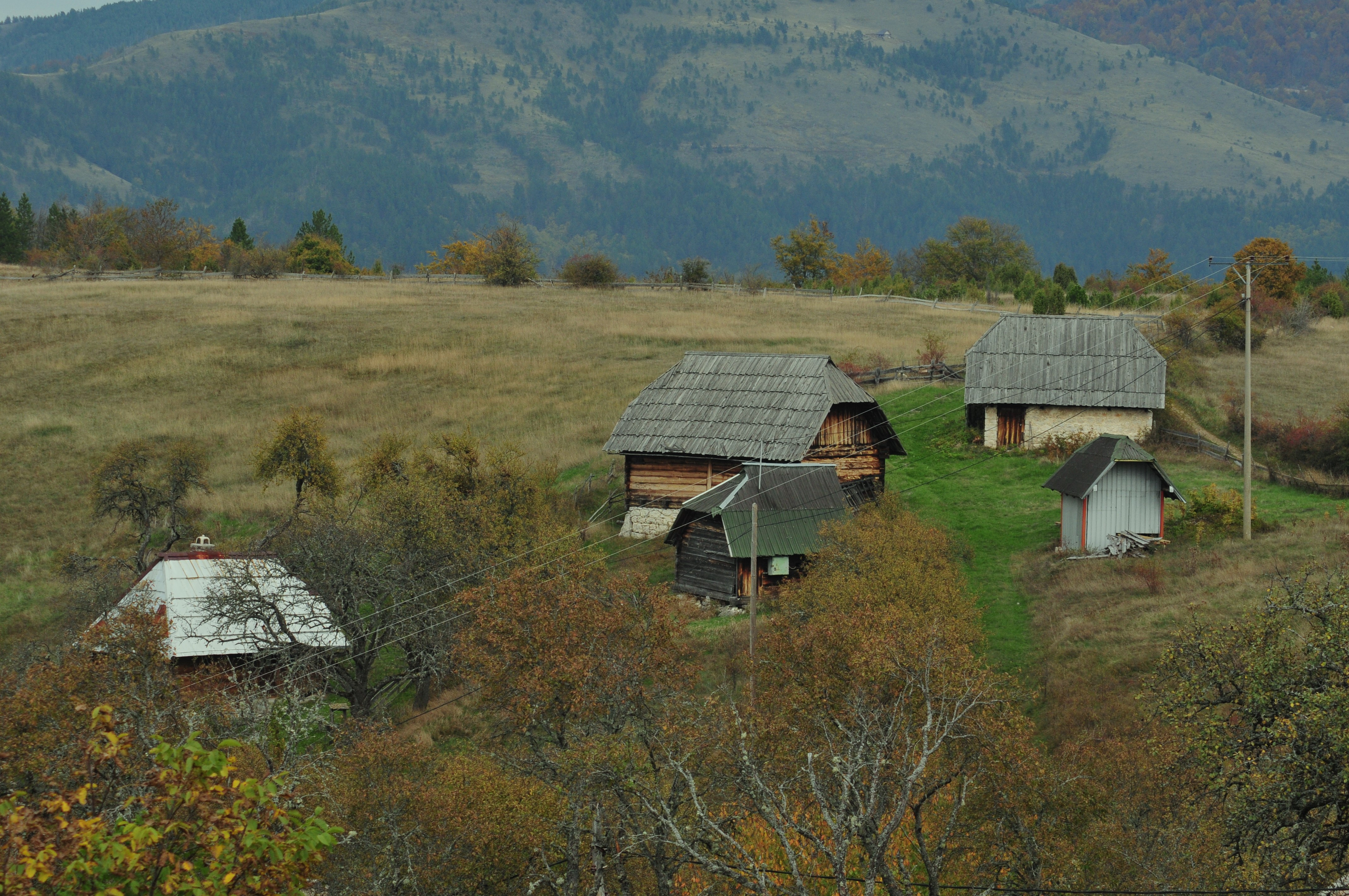 ÐÑÑÐ¸Ð²Ð° : ÐÐÐ ÐÐÐÐ ÐÐ¨ ÐÐÐÐ Ð£ Ð¡ÐÐÐ£ Ð¡Ð¢ÐÐÐÐ¦