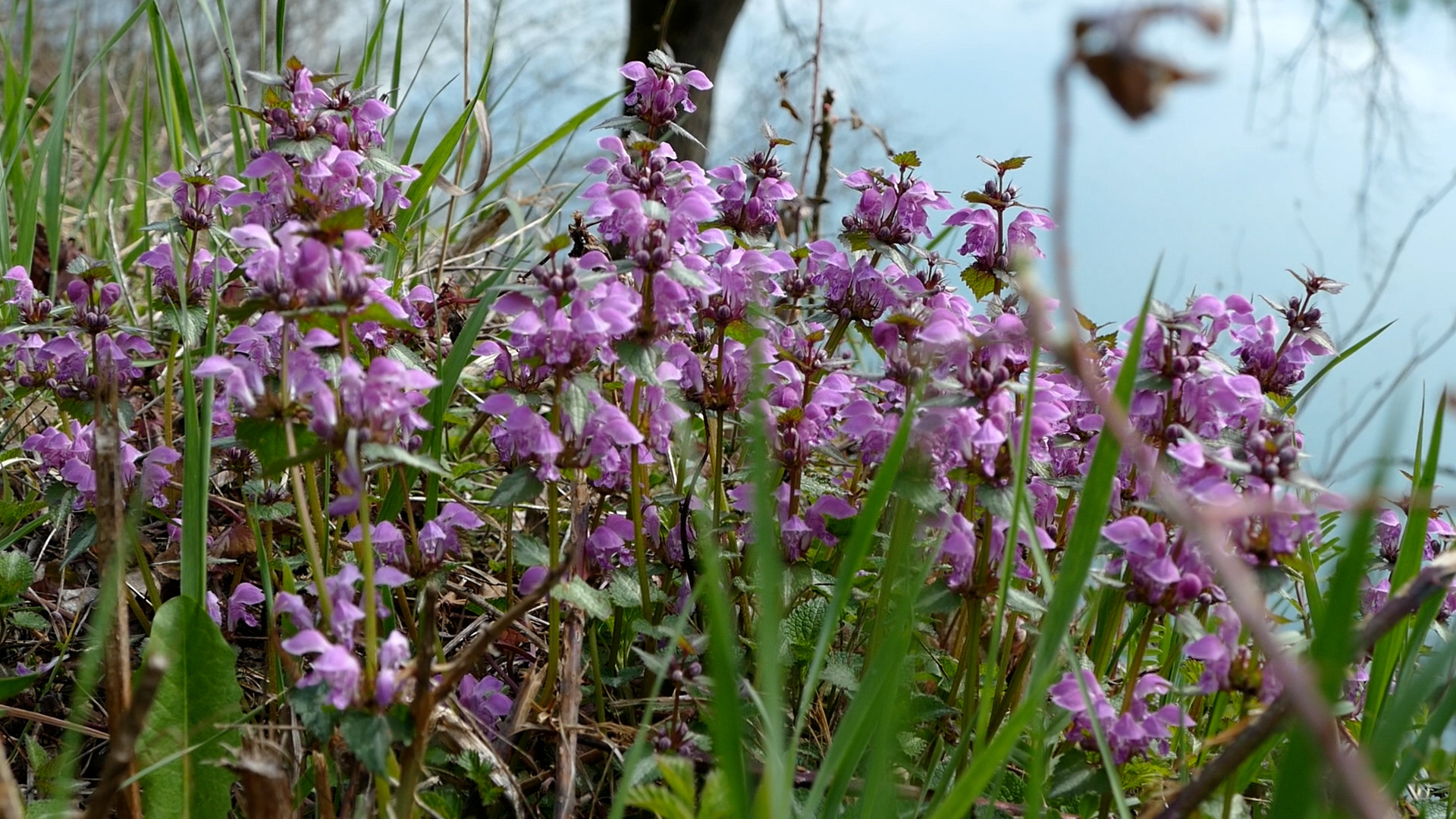ÐÐ Ð§ÐÐ¡Ð¢ ÐÐ ÐÐ Ð ÐÐÐ ÐÐÐ£ Ð¡Ð ÐÐÐÐÐ£