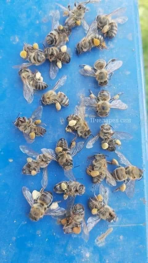 ÐÐÐ Ð¢Ð Ð£ÐÐÐÐ ÐÐ§ÐÐÐ, Ð¢Ð Ð£ÐÐÐÐ Ð¡ÐÐÐÐ£ ÐÐ£ÐÐ£ÐÐÐÐ¡Ð¢